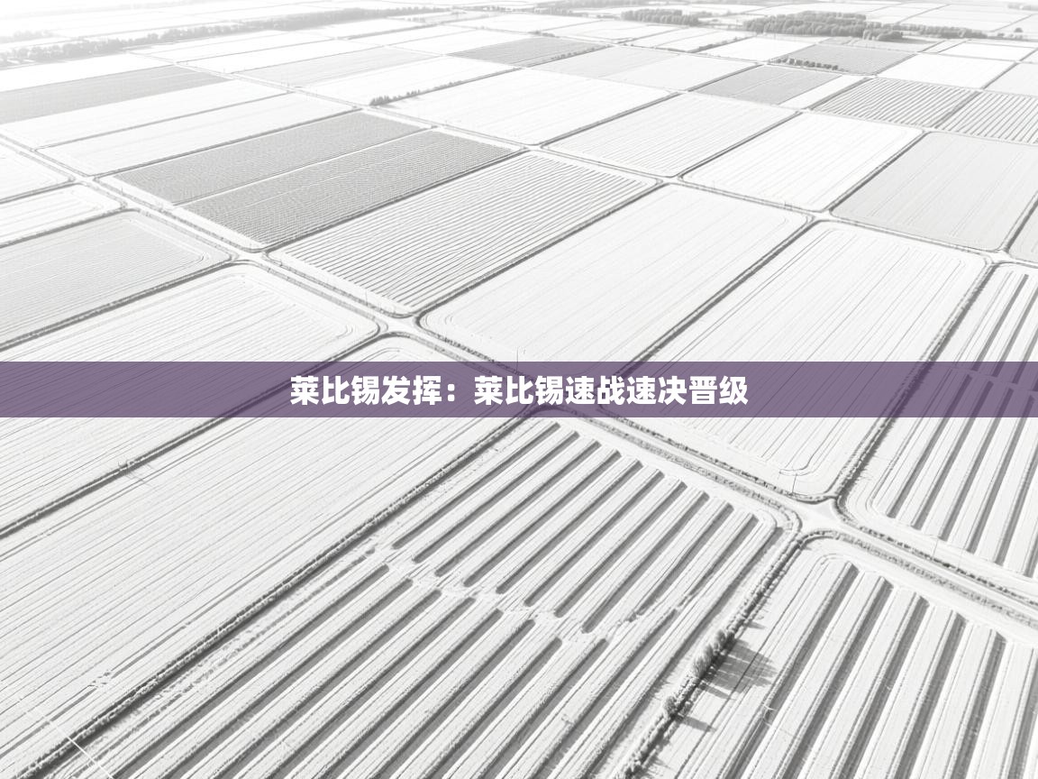 莱比锡发挥:莱比锡速战速决晋级 第1张